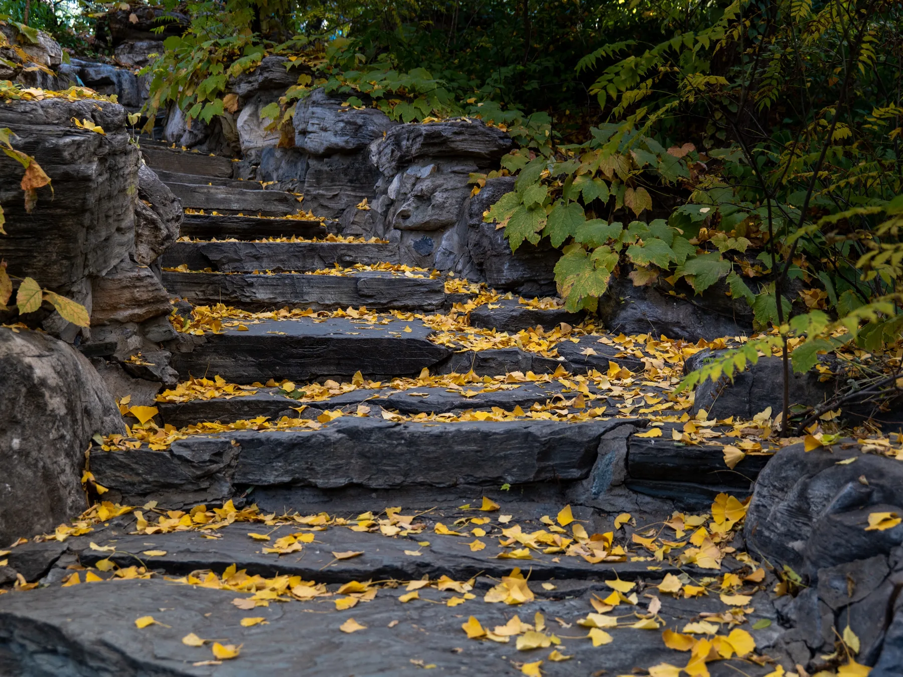 Stone steps winding through dark rocks and scattered yellow autumn leaves