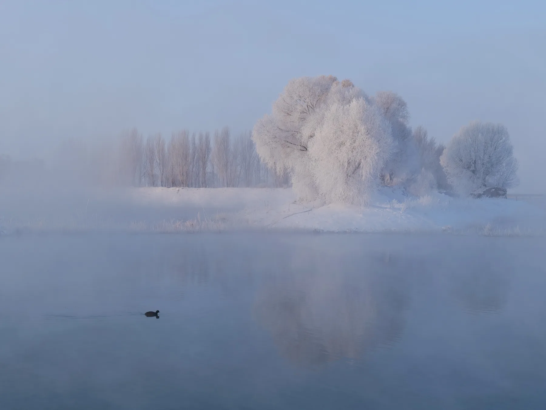 A snow-covered island reflected in a still winter lake