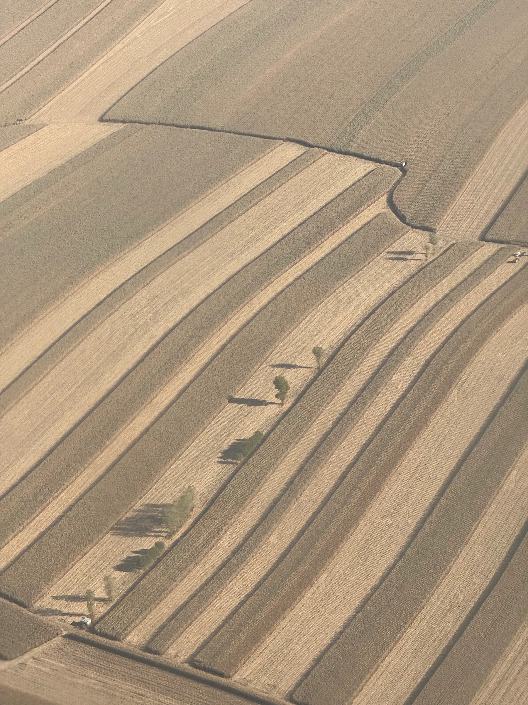 Fields in light