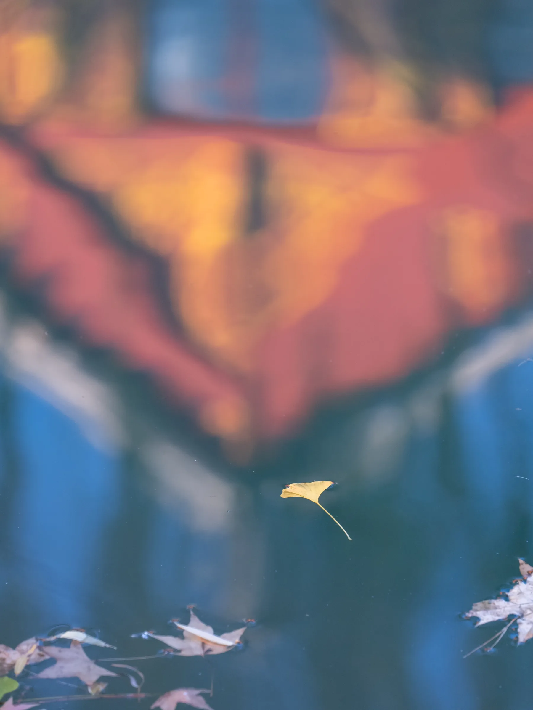 Leaf